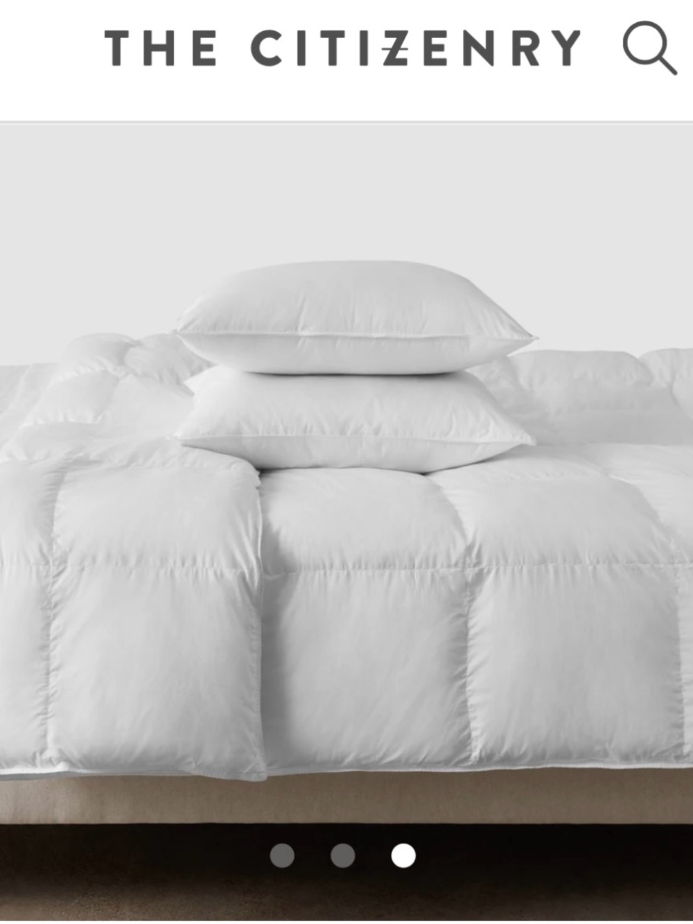 The Citizenry Signature Down-Alternative Duvet Insert/Comforter